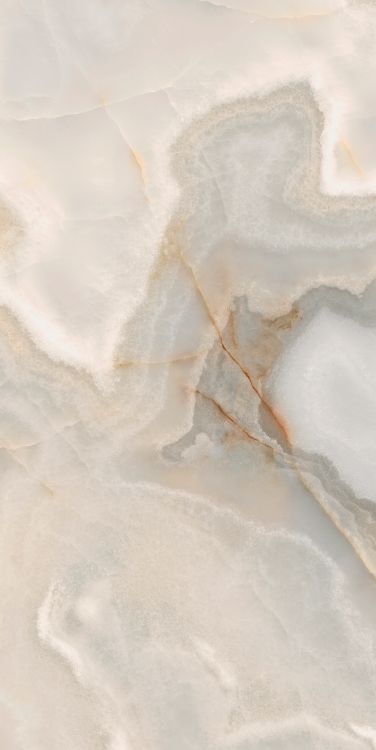 Reves Noisette Matte 24 x 48